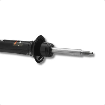 Amortecedor Dianteiro Scenic Todos +99 Cofap Gp32313